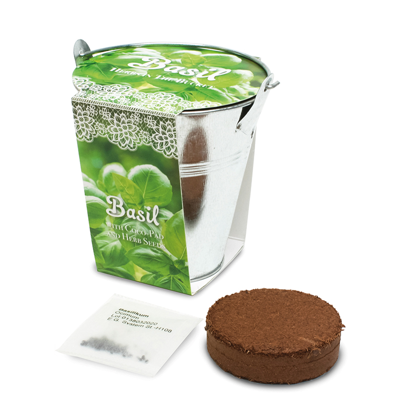 Herbs in bucket